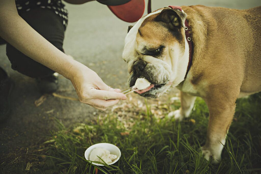 What is in a pup cup - Paper Cup Supplier & Manufacturer | 0% Plastic | EUDR