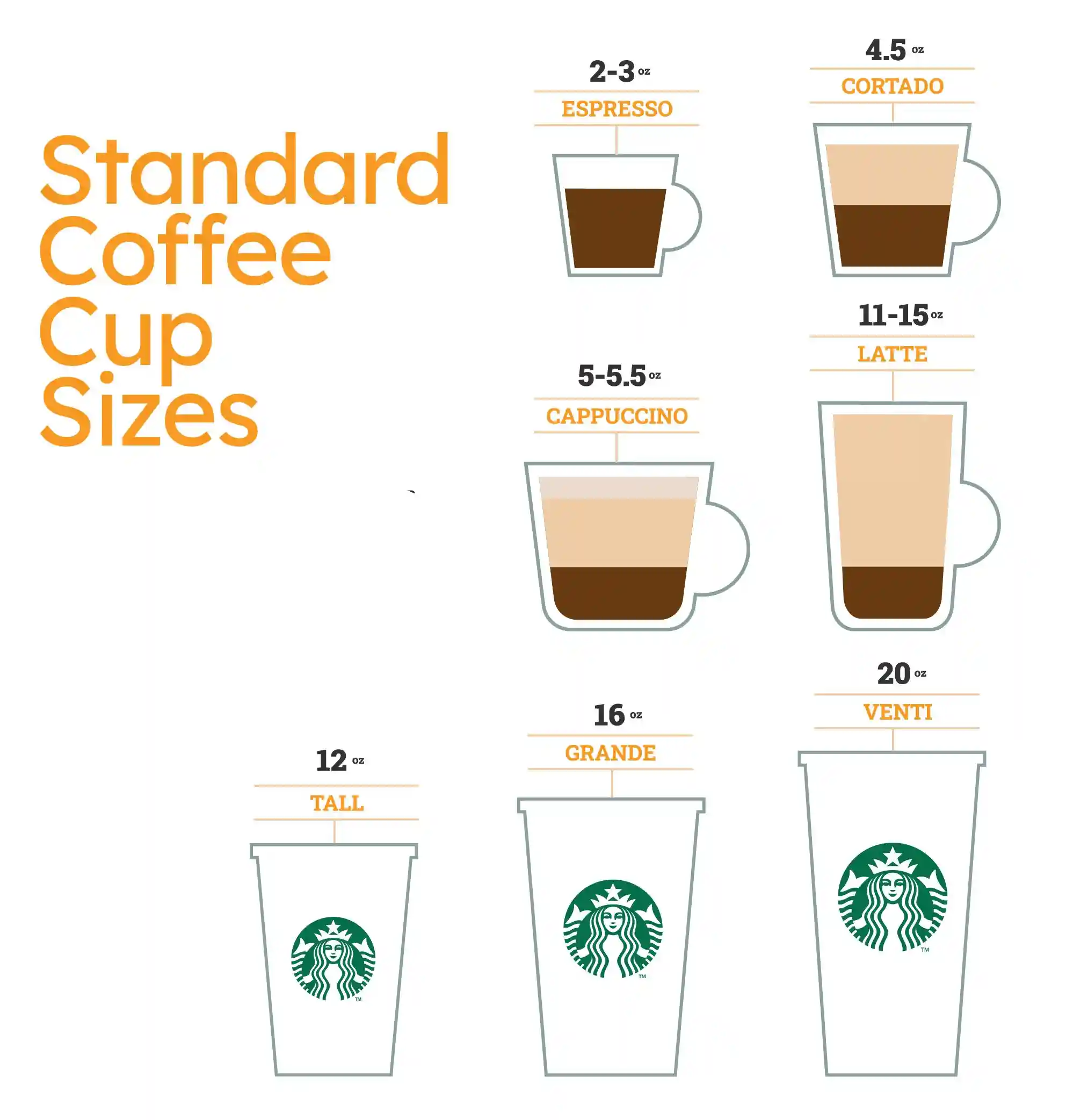 Standard Coffee Cup Sizes for Cafe Shops 2025